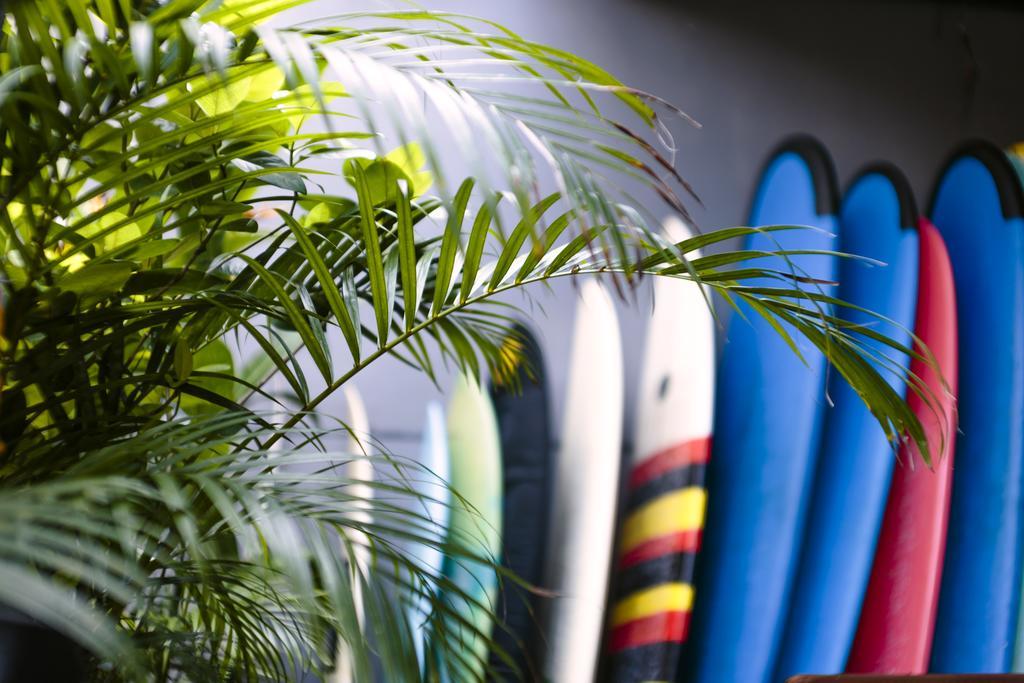Hotel Surfers House Kuta Lombok Zewnętrze zdjęcie
