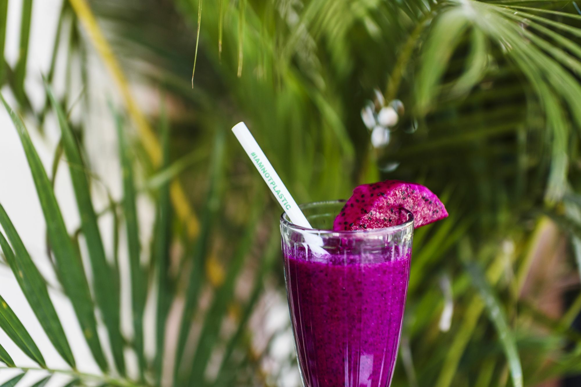 Hotel Surfers House Kuta Lombok Zewnętrze zdjęcie